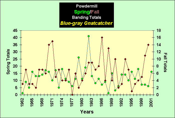 ChartObject PowdermillSpring/Fall Banding Totals Blue-gray Gnatcatcher