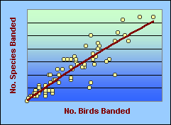 ChartObject Chart 3