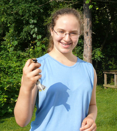 young volunteer working with a Cedar Waxwing
