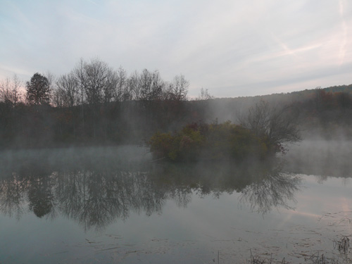 Crisp Pond in the fog