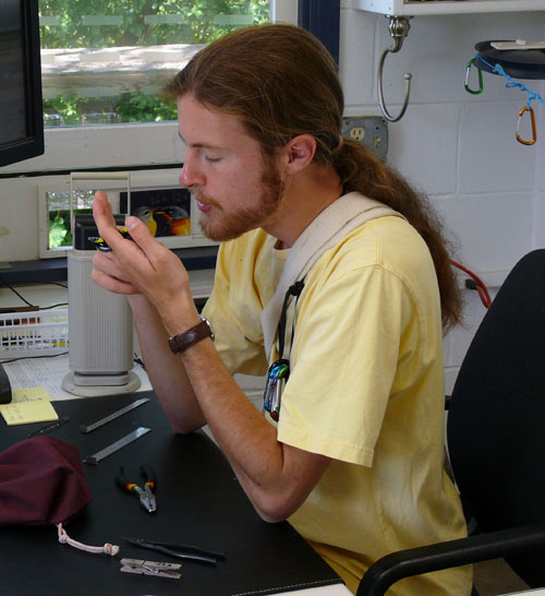 Blaine banding a bird at Powdermill Avian Research Center