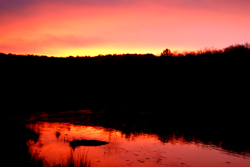 a red sky reflected in a pond