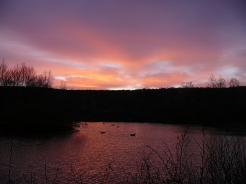 red and purple sunrise over a pond