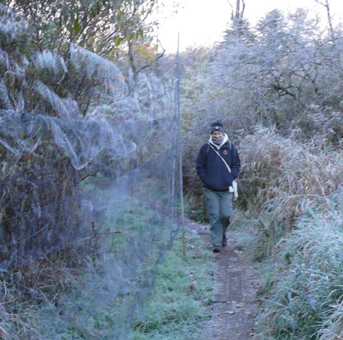 Woman walking by nets, trees covered in frost