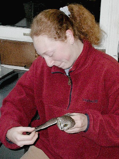 Adrienne Leppold working with an owl
