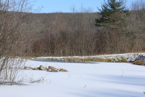 Pond at Powdermill frozen over