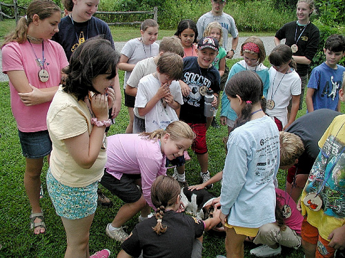 Powdermill summer campers (group of kids) petting a dog