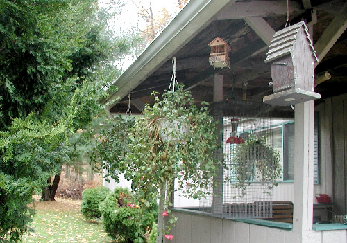 Back porch with hanging plants and a hummingbird feeder