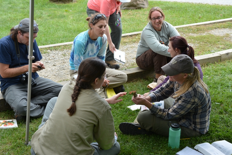 Six people sit in a circle at a banding workshop