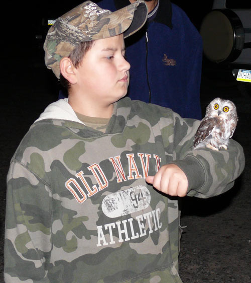 Young boy in camo hat holding a Northern Saw-whet Owl