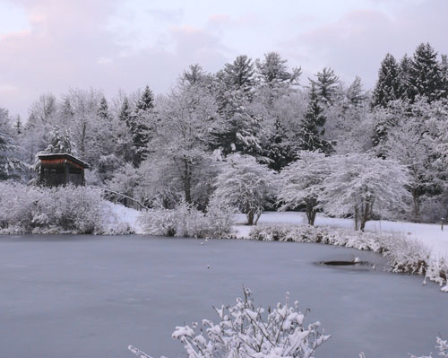 Snow on the pond in winter