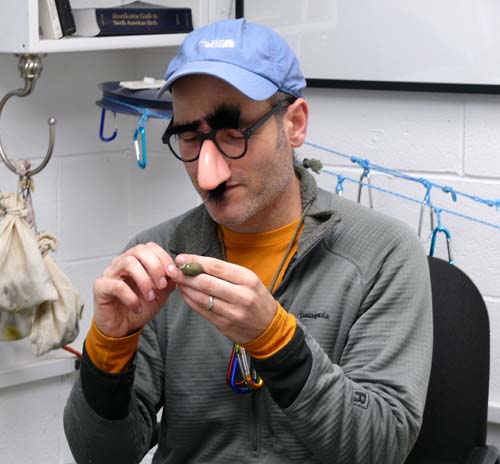 bird banding researcher dressed up in a funny nose and glasses for Halloween