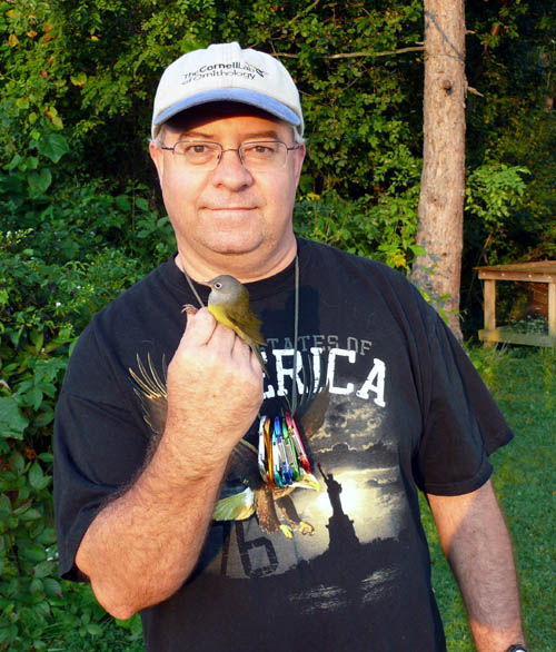 volunteer getting ready to release a Connecticut Warbler