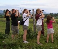 Birders watching for birds with binoculars 