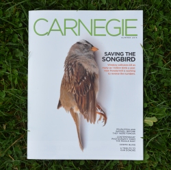 bird on carnegie magazine cover
