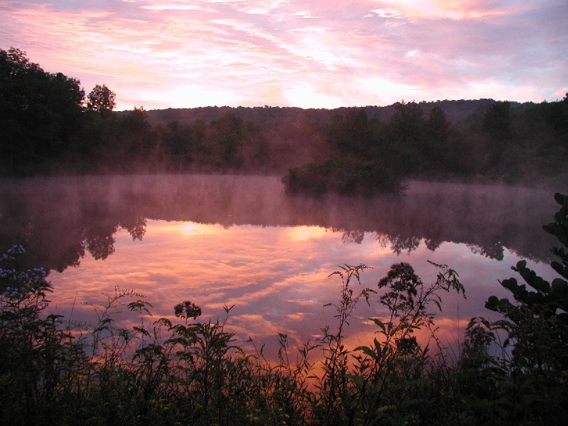 pink sunrise over a pond